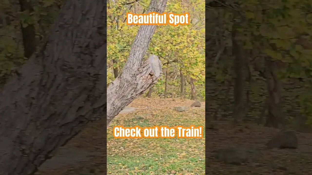 Great fishing spot. Did you spot the train? #shorts #kayakfishing #creekfishing #riverfishing #train