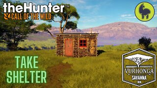 Take Shelter, Vurhonga Savanna | theHunter: Call of the Wild (PS5 4K)