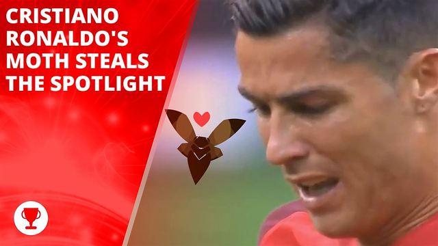 It MOTH be love for Cristiano Ronaldo!