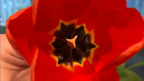 What my morning looks like!!