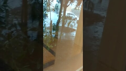 Where am I expected to sleep tonight?