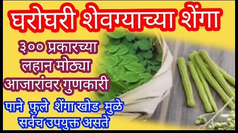 शेवग्याच्या शेंगा खाण्याचे फायदे | Drumstick benefits in Marathi