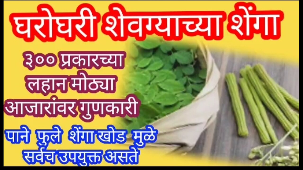 शेवग्याच्या शेंगा खाण्याचे फायदे | Drumstick benefits in Marathi