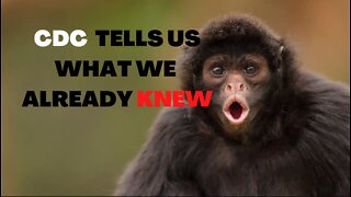 CDC admits the truth about monkeypox