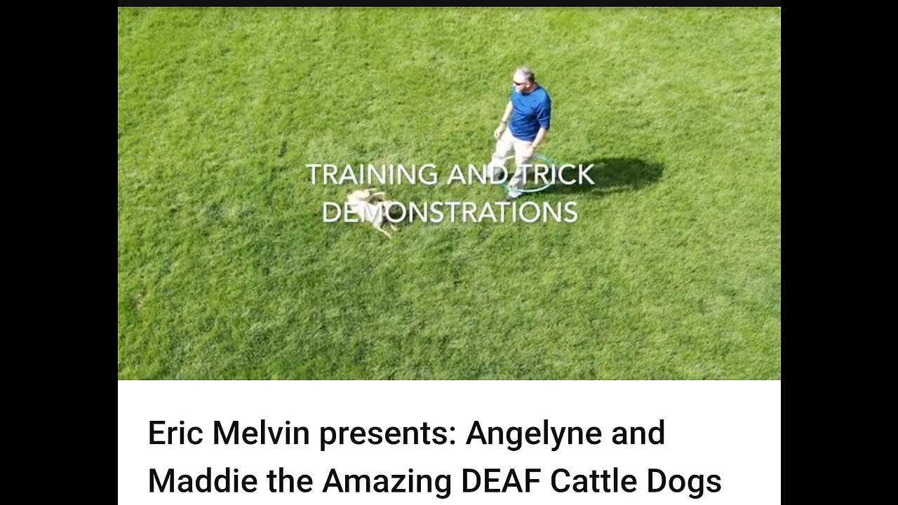 Eric Melvin presents: Angelyne and Maddie the Amazing DEAF Cattle Dogs