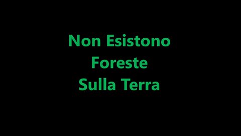 NON ESISTONO FORESTE SULLA TERRA