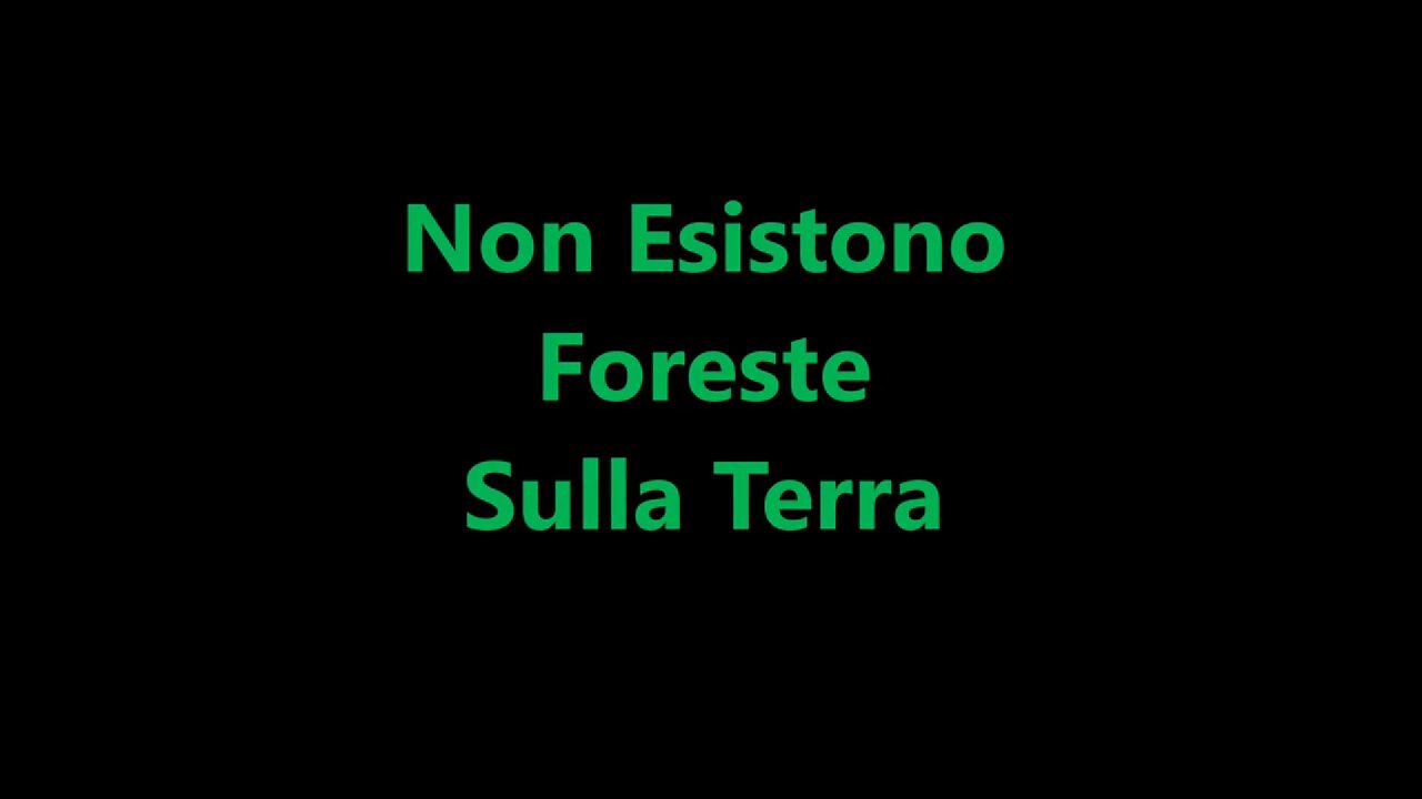 NON ESISTONO FORESTE SULLA TERRA