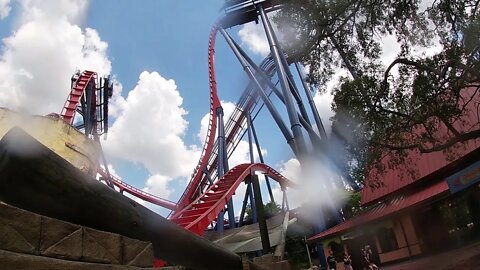 Sheikra splash zone