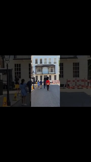 I follow the Queen's Guard the police follow me #metpolice