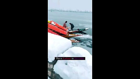 Dal lake in snow