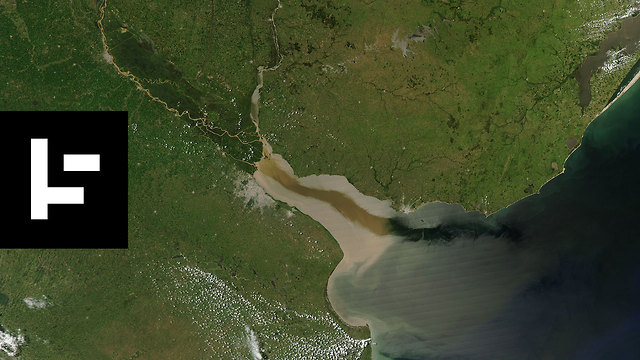 Coral Reef Discovered in the Amazon