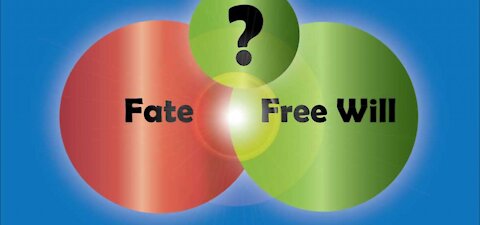 Free will, a more detailed explanation