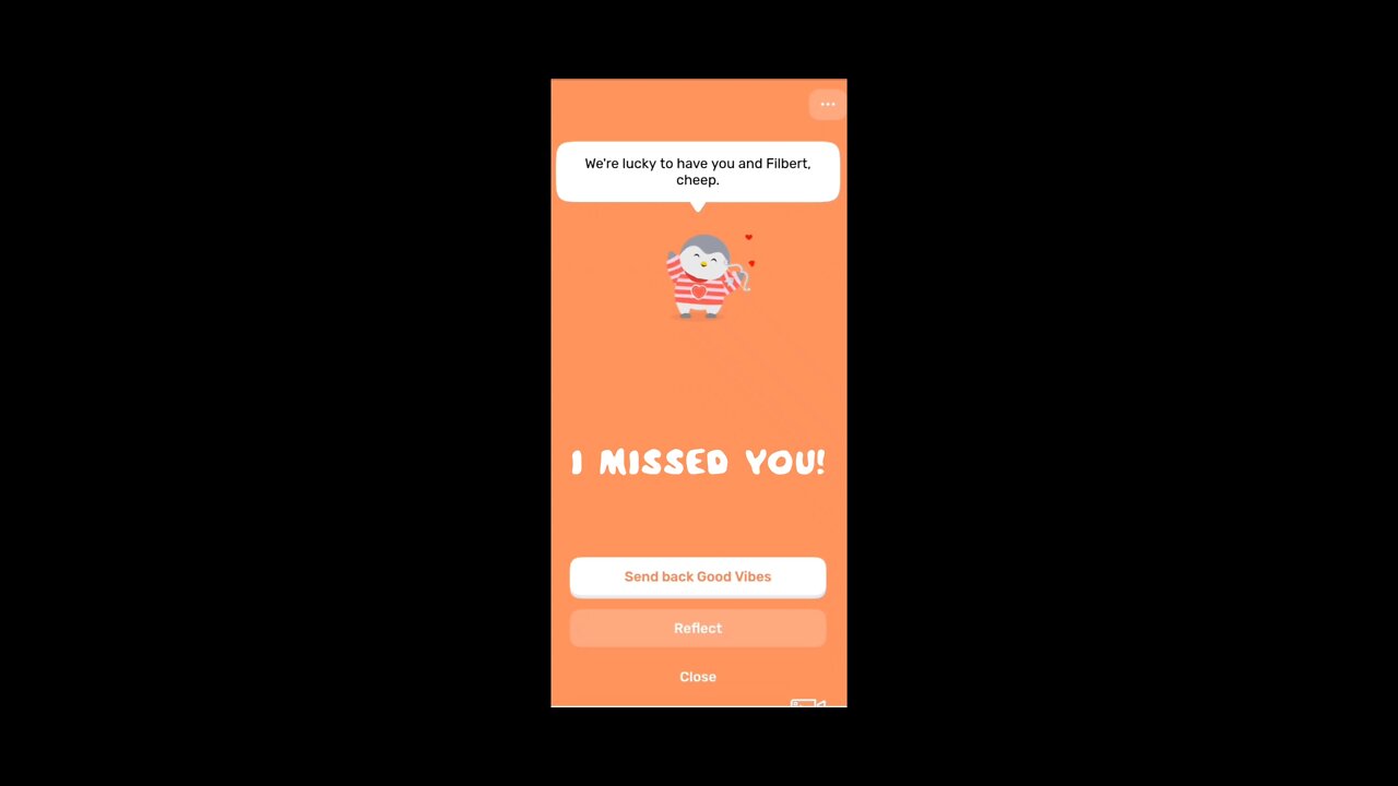 Mypetfinchapp: Friend Ophelia returns!