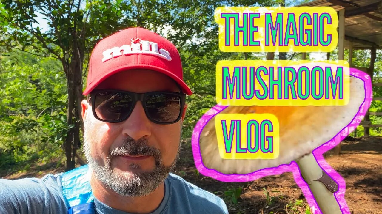 PSILOCYBE CUBENSIS VLOG UPDATE (Growing magic mushrooms outdoors)