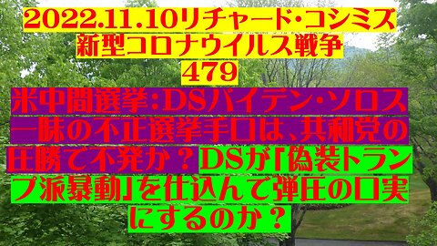 2022.１１．１０リチャード・コシミズ 新型コロナウイルス戦争 479