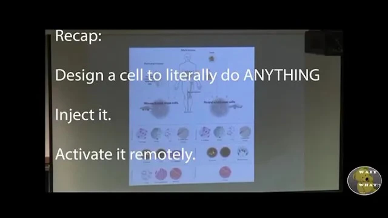 NUREMBERG CODE ACTIVE! 💣