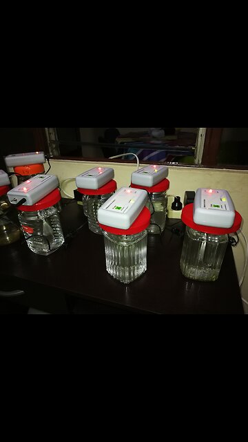 ser sano es el propósito