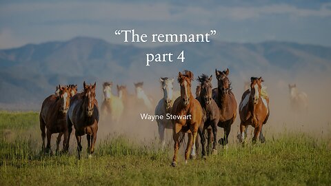 The Remnant - Part 4