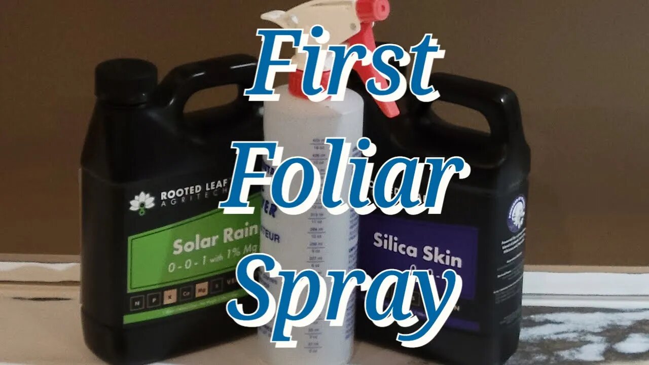 My First Foliar Spray #MarsHydro #TSW2000