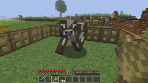 The Best minecraft tips and tricks