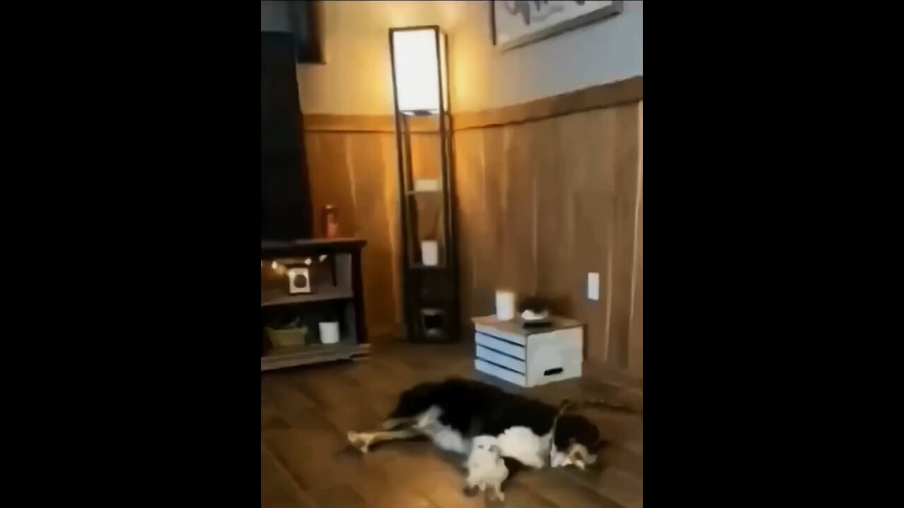 Funny 🤣🤣🤣🤣🤣🤣🤣