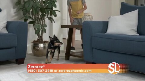 Porter Trepanier of Zerorez® can remove pet stains and odor