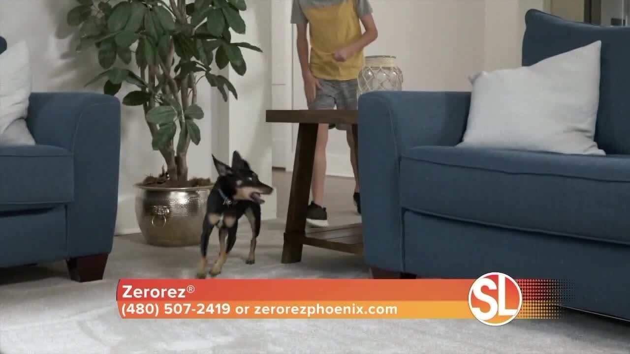 Porter Trepanier of ZerorezĀ® can remove pet stains and odor