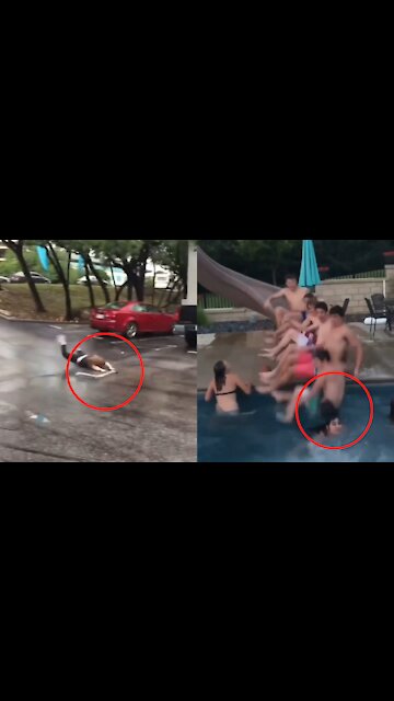 Funny short clips compilation