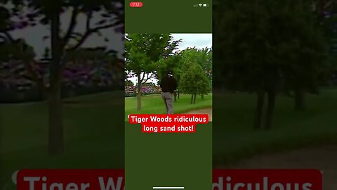 Tiger Woods Ridiculous long sand shot is a must see! #golf #tigerwoods #tomgillisgolf