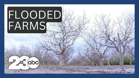 Kern farmers deal with the aftermath of flooding