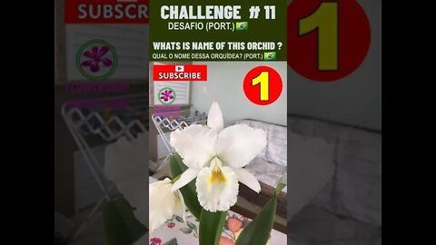 CHALLENGE # 11 |WHATS IS NAME OF THIS ORCHIDS?|YOU WANT TO LEARN? |# SHORT