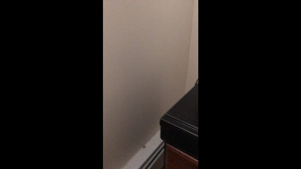 Chef Boy R Dizzy VLOG: @DabSlabCutBud ✂️