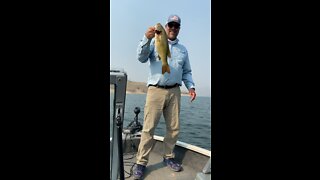 Idaho Smallmouth