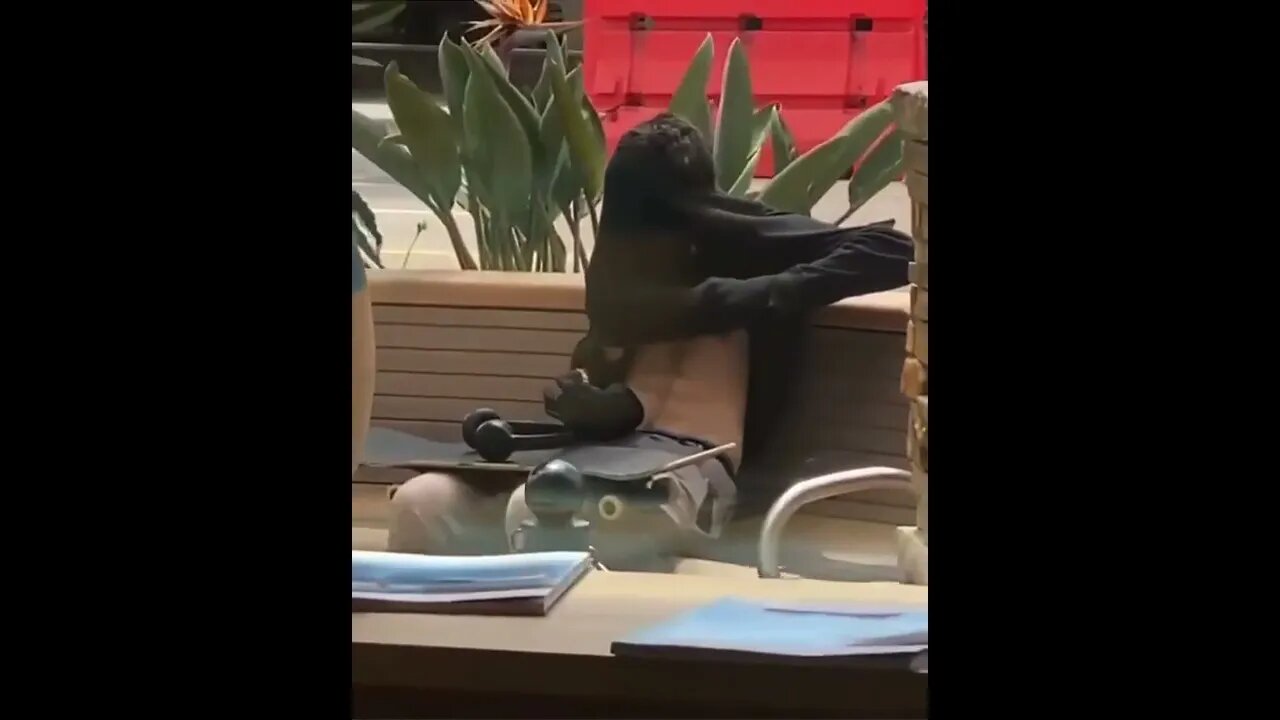 How to Smoke in No Smoking Zone. 😂😂🚭