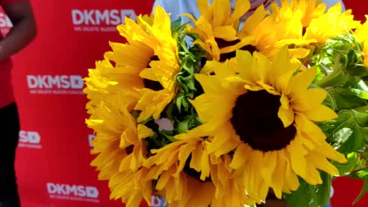 The DKMS team handing out 510 sunflowers (1)