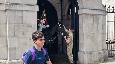 Horse taken back in #horseguardsparade