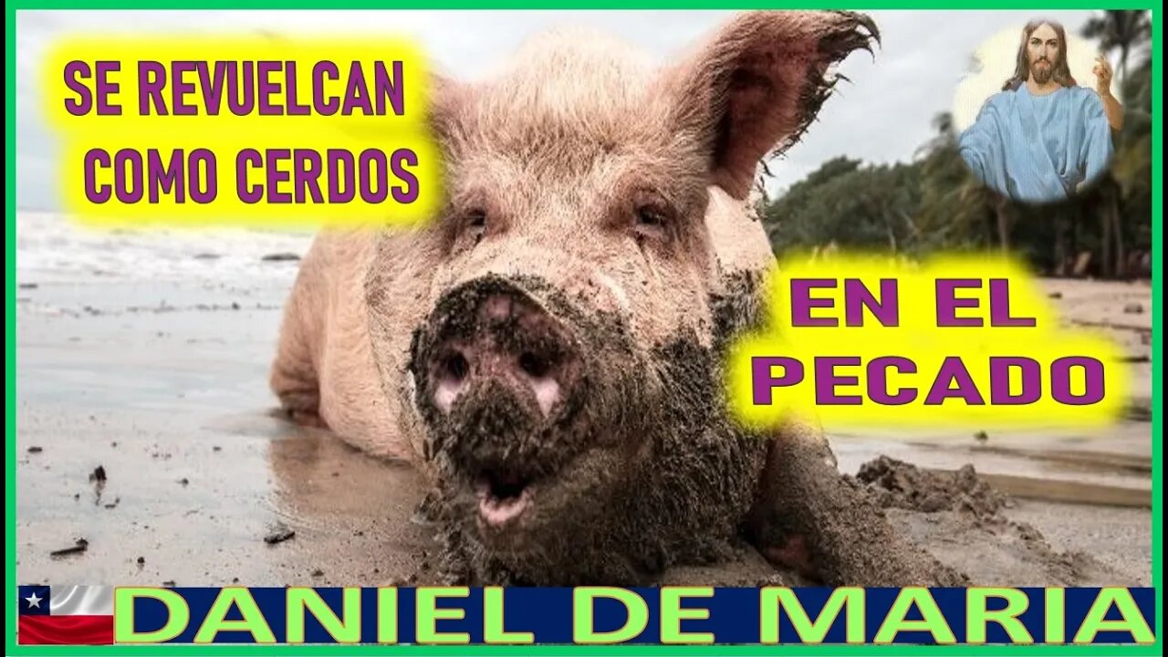 SE REVUELCAN COMO LOS CERDOS EN EL PECADO- MENSAJE DE JESUCRISTO REY A DANIEL DE MARIA 25JUN22