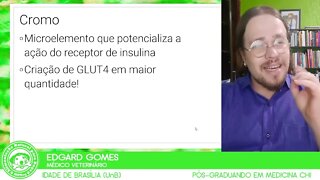 Como melhorar performance atlética do cachorro com ALIMENTOS | Dr. Edgard Gomes