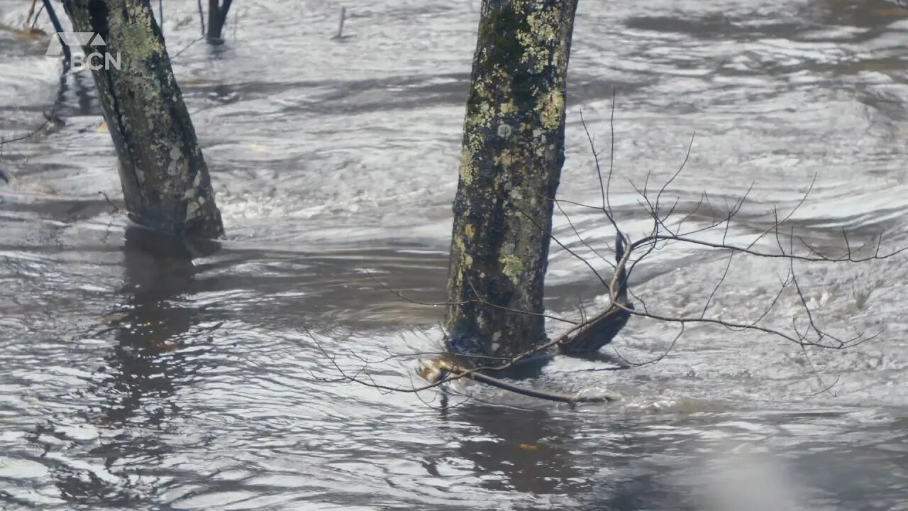 City Reminds Residents To Prepare For Flooding - June 13, 2022