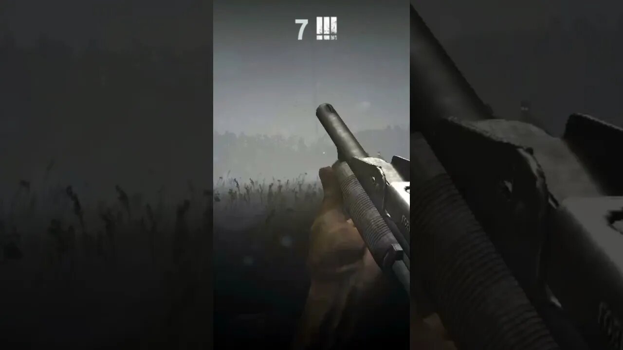 Into The Dead(2) #shorts