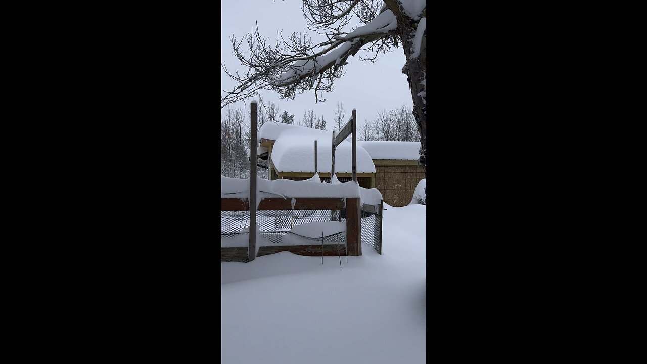 4 feet of lake effect snow in less than 24 hours