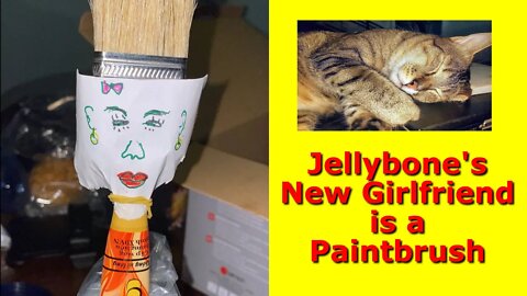 JellyBone's New Girlfriend is a Paintbrush --- the Texpat in Saigon (Cat Life Video)