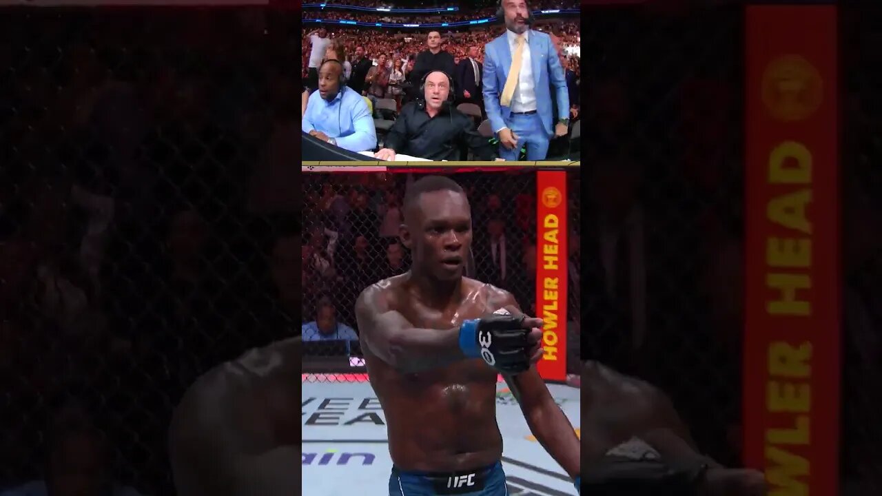 Adesanya's latest knockout left everyone SPEECHLESS!