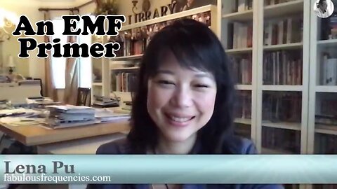 Lena Pu - An EMF Primer (2020)