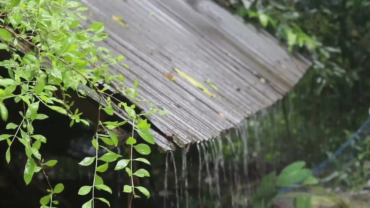 Rain on a Tin Roof - 100 Minutes - Relaxing Sleep Sound