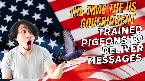 The Time The US Government Trained Pigeons To Deliver Messages.