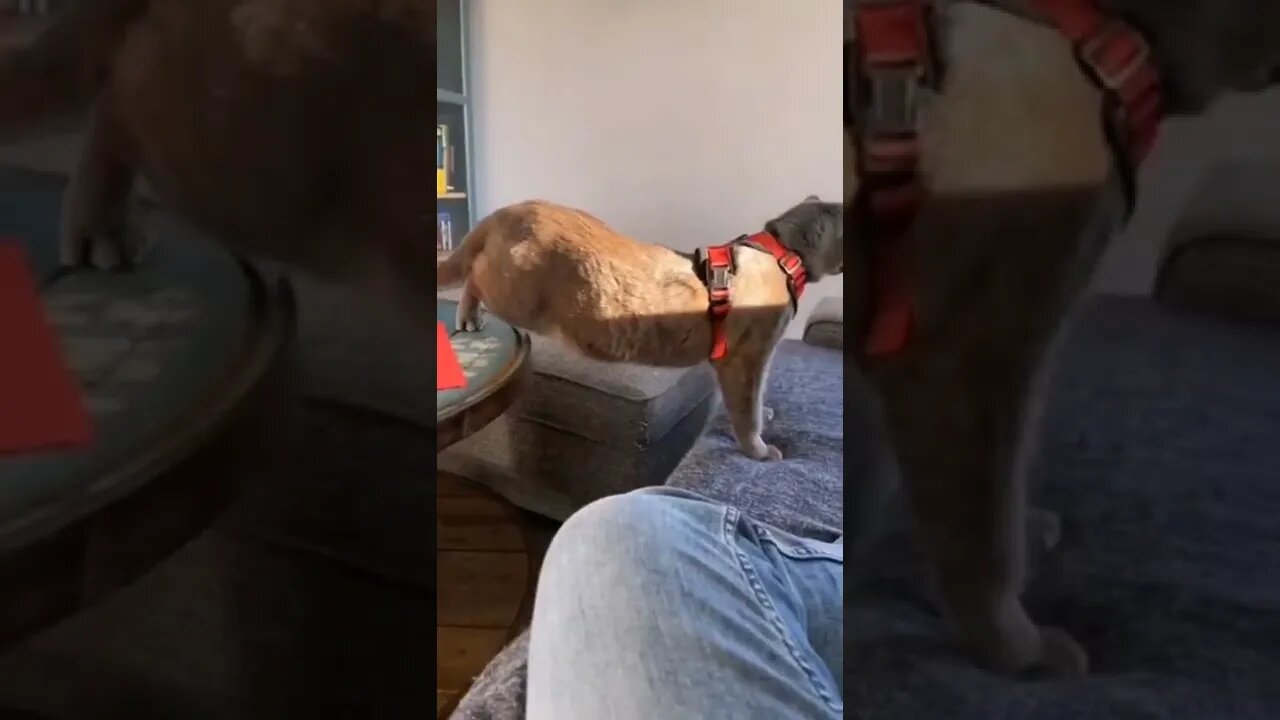 😂😂😂😂😂🤣