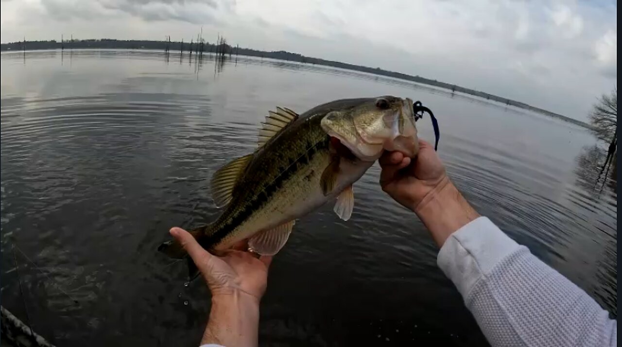 Pre-Spawn Bass Fishing