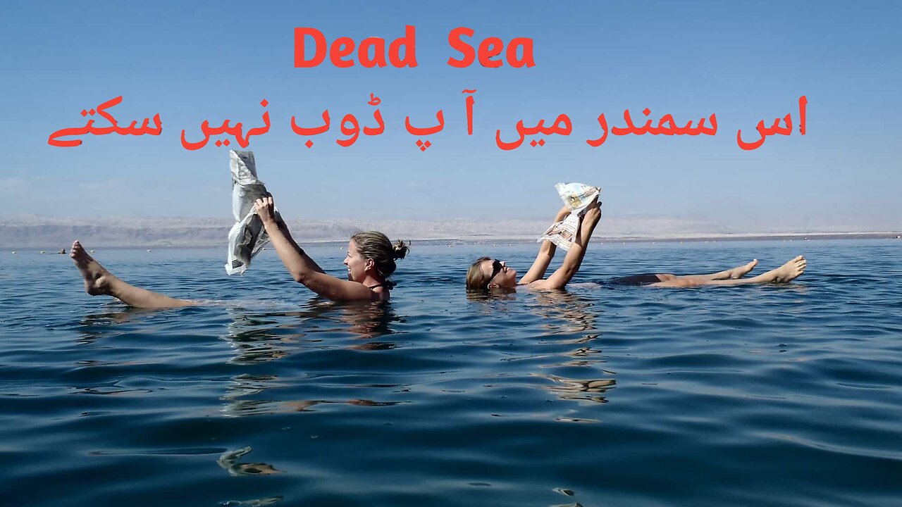 Escape to the Dead Sea: Discover the Unbelievable Floating Experience