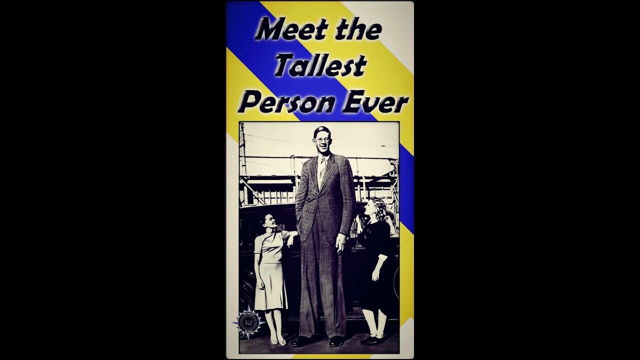 Meet the Tallest Person Ever #Shorts